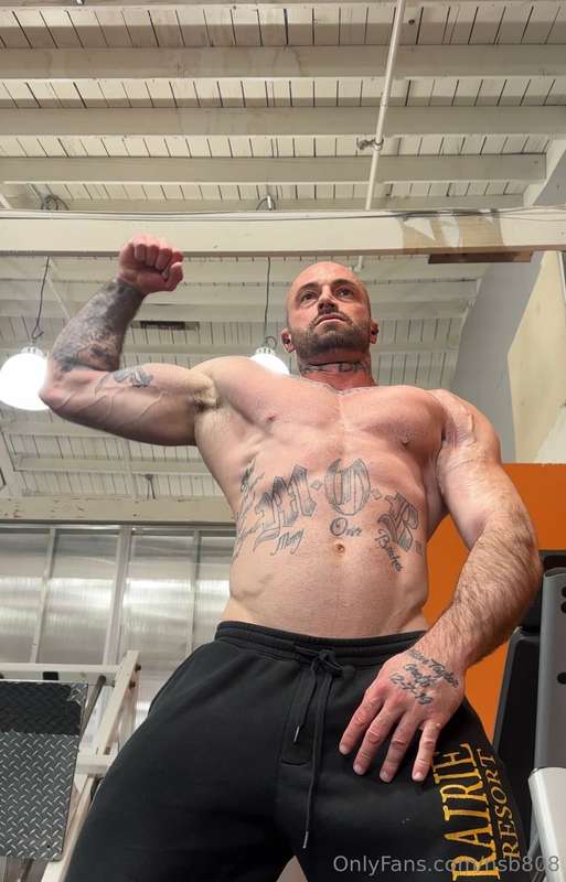 Back and biceps