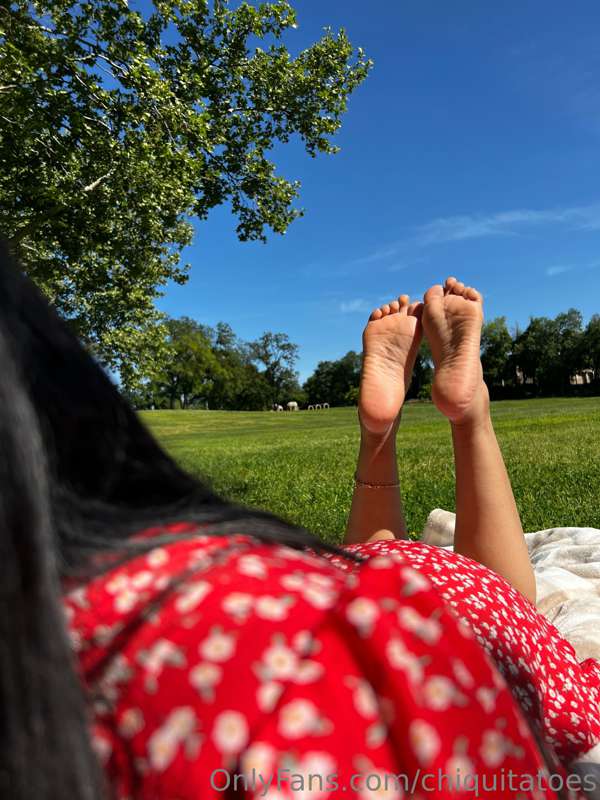 If I was laying down in the park and you saw me like this wh..
