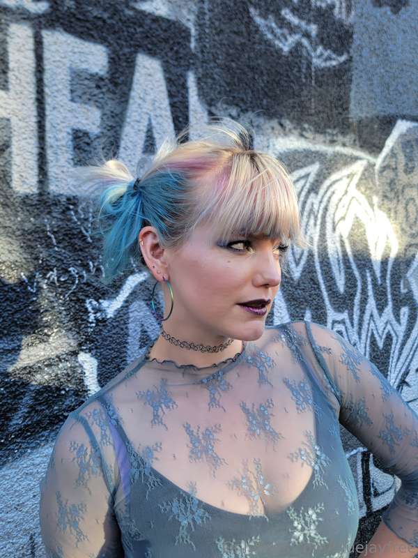 bluejayfree
