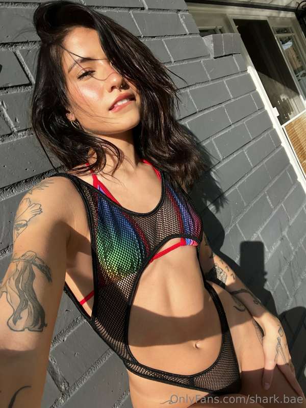 shark.bae photo