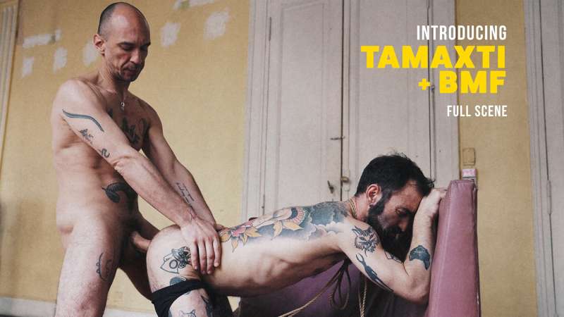 INTRODUCING
BMF + TAMAXTI
FULL SCENE