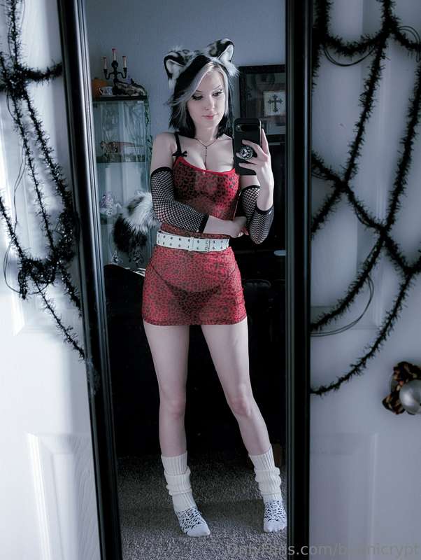 bunnicrypt image #2