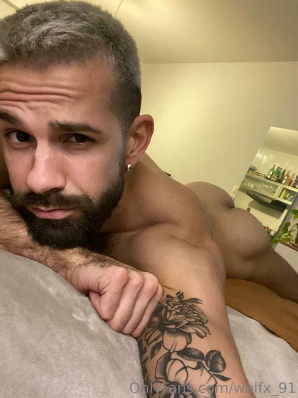 wolfx_91