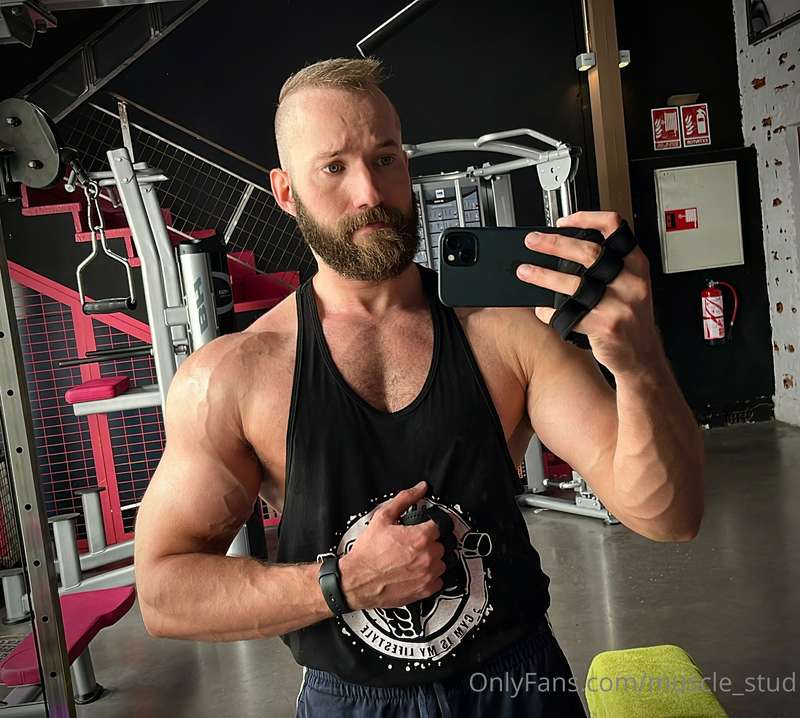 muscle_stud
