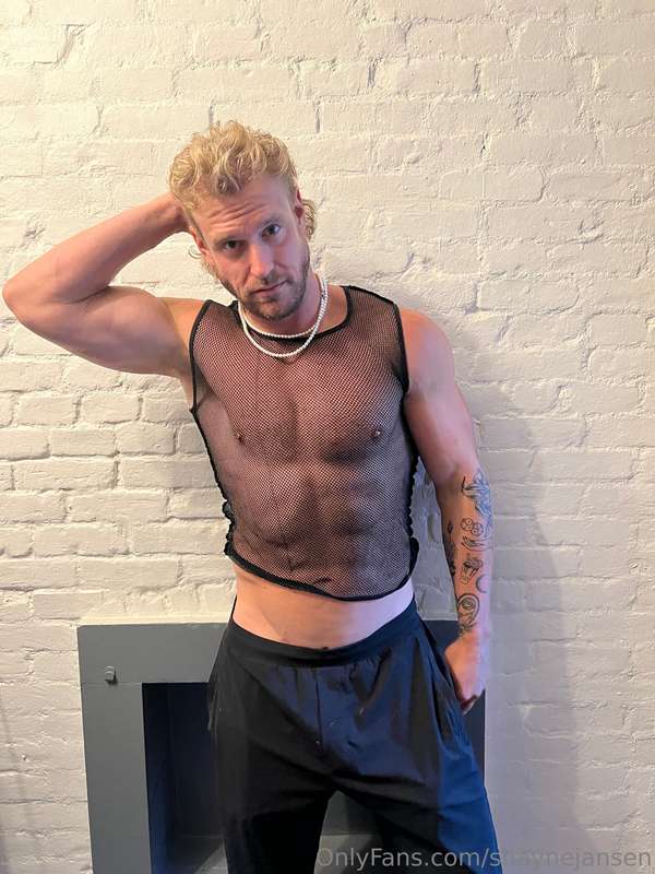 shaynejansen