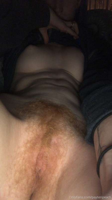 gingerkitty47 image #4