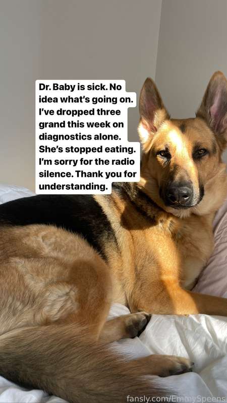 media