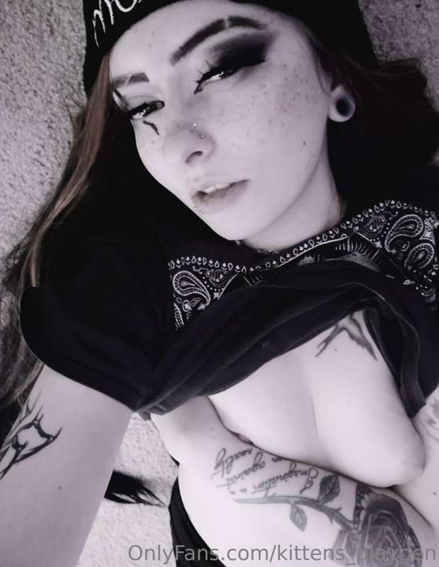 kittens_playpen