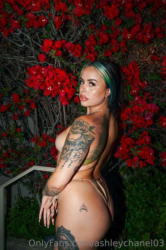 @bluebaebyy Number #1 Tatted slut on Onlyfans‼️😈 Just made h..