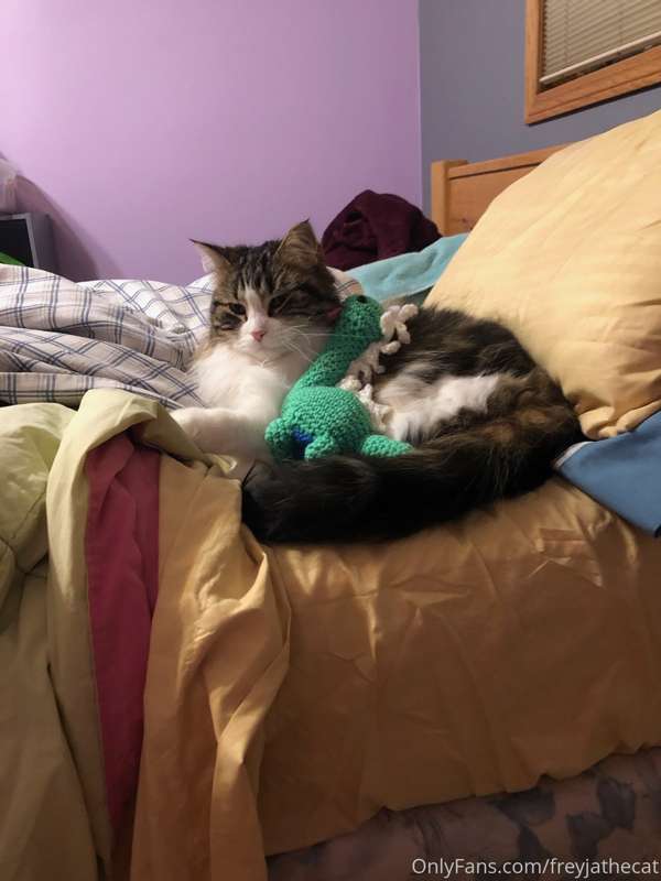 There is nothing undignified about cuddling with stuffed ani..