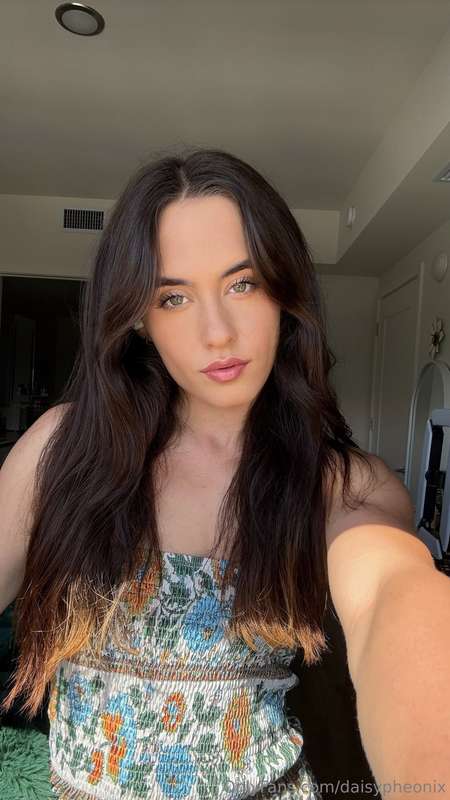 daisypheonix