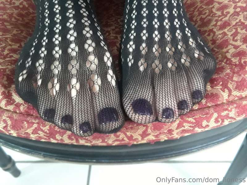 What is it that makes you a foot simp?
Pantyhose, Toes, Heel..