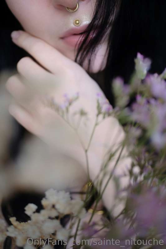 Bonjour 🌺