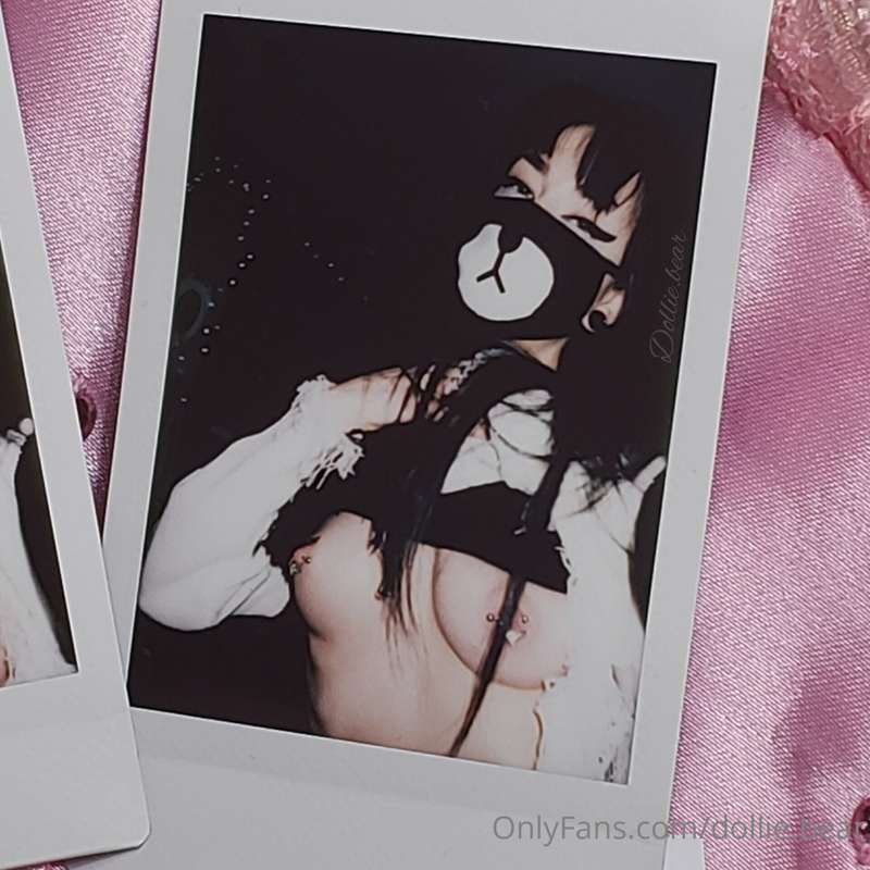 dollie.bear image #0