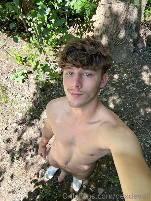 🌲🌲🌲
