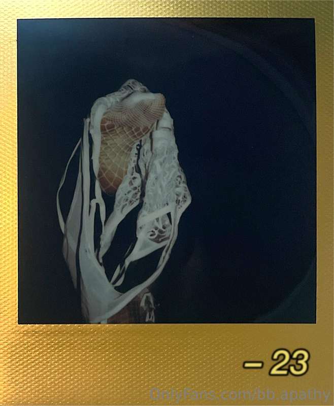 bb.apathy image #20