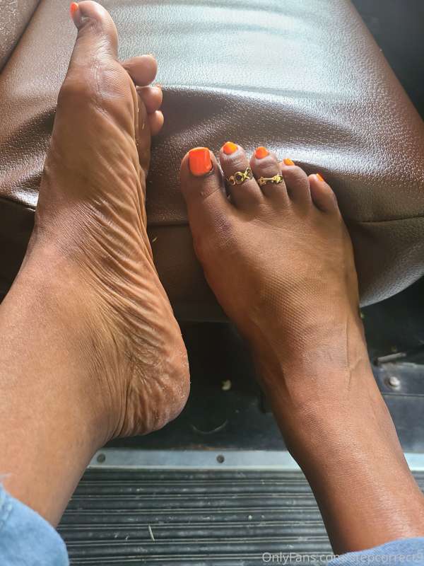 stepcorrect9 image #0