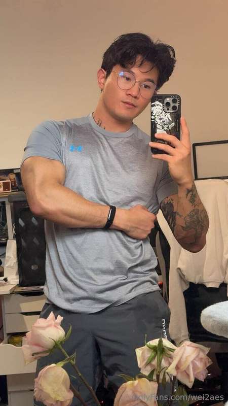 wei2aes