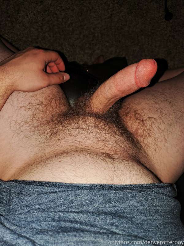 denverotterboy