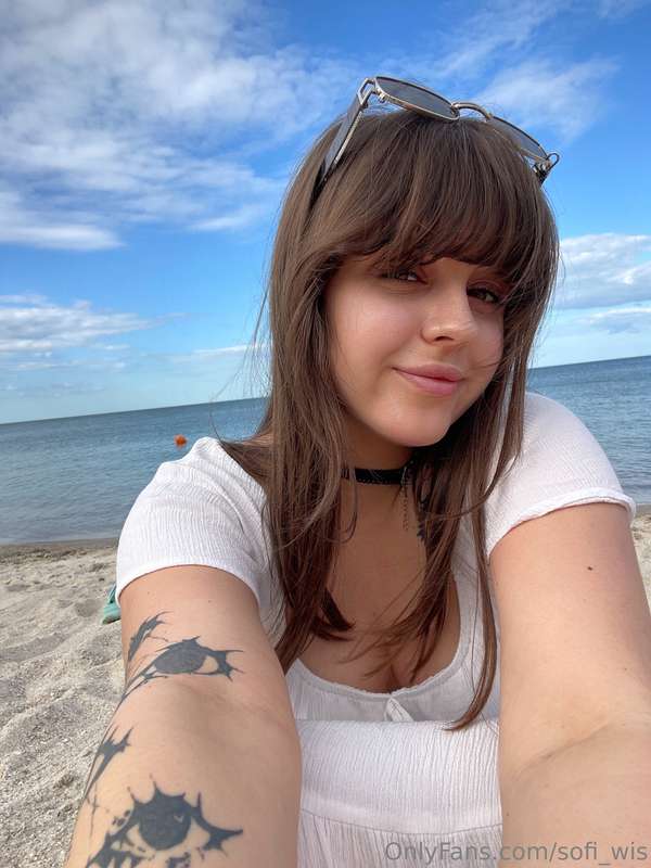 sofi_wis