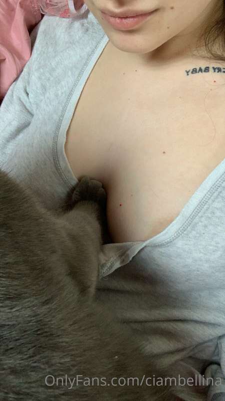 Buongiorno 🐱