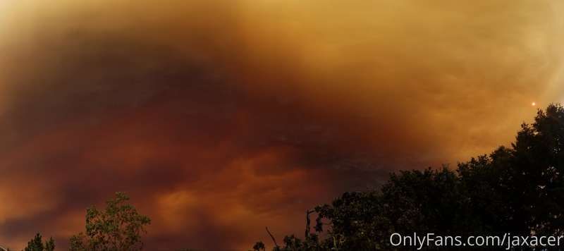 jaxacer