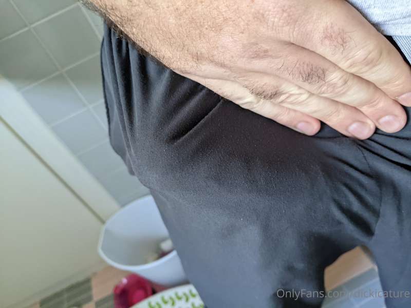 dickicature image #1
