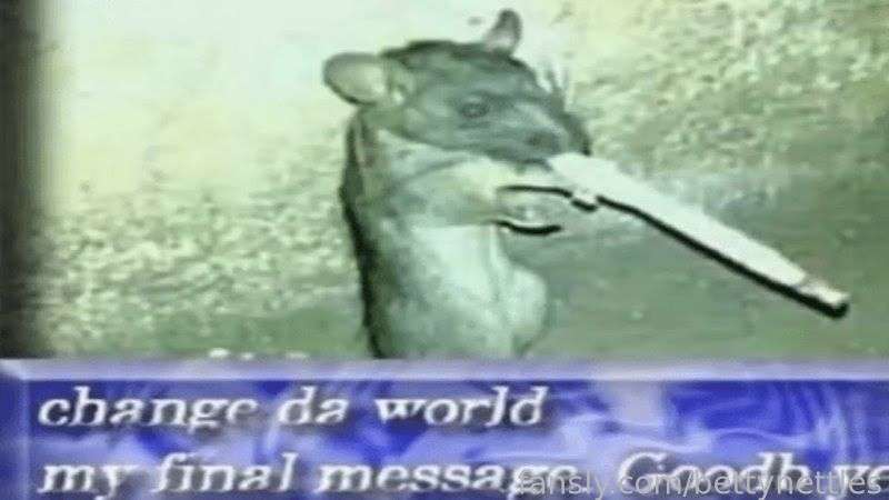 media