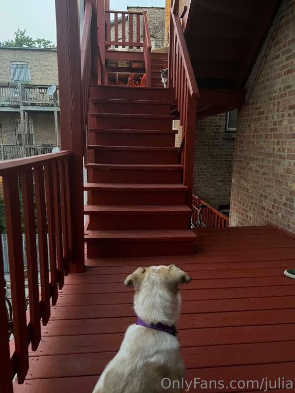 Savvy and her neighbor enjoying patio weather