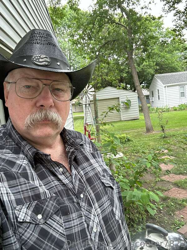 media