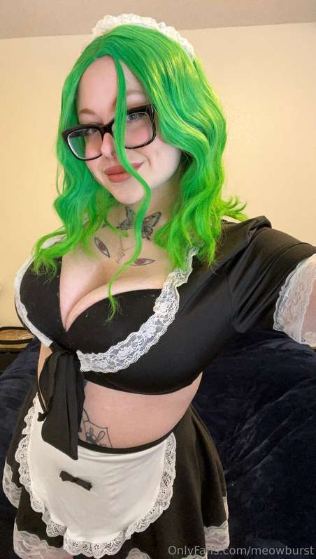 meowburst photo