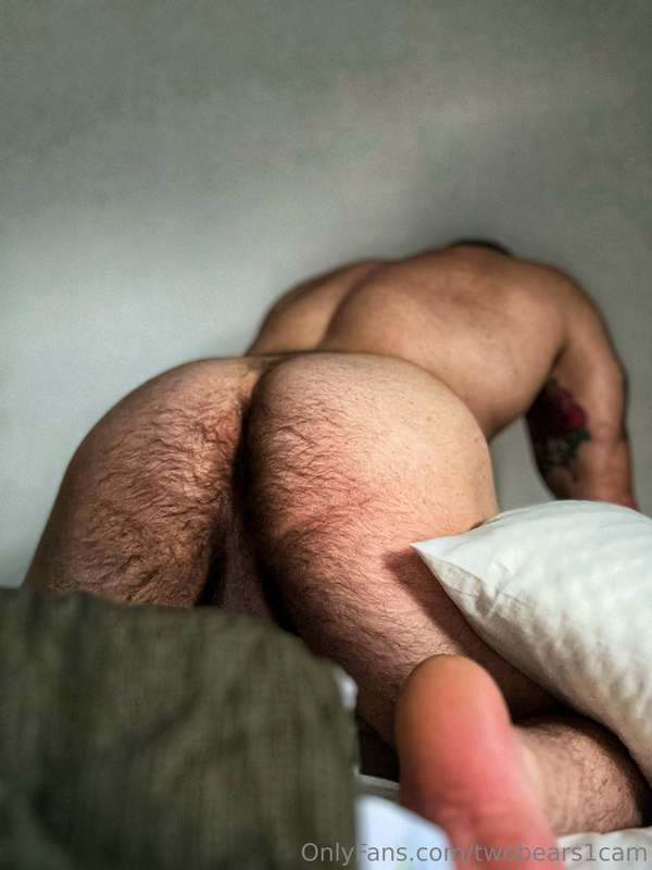 twobears1cam