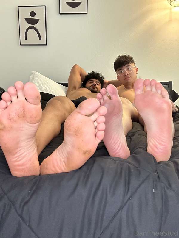 dantheestud