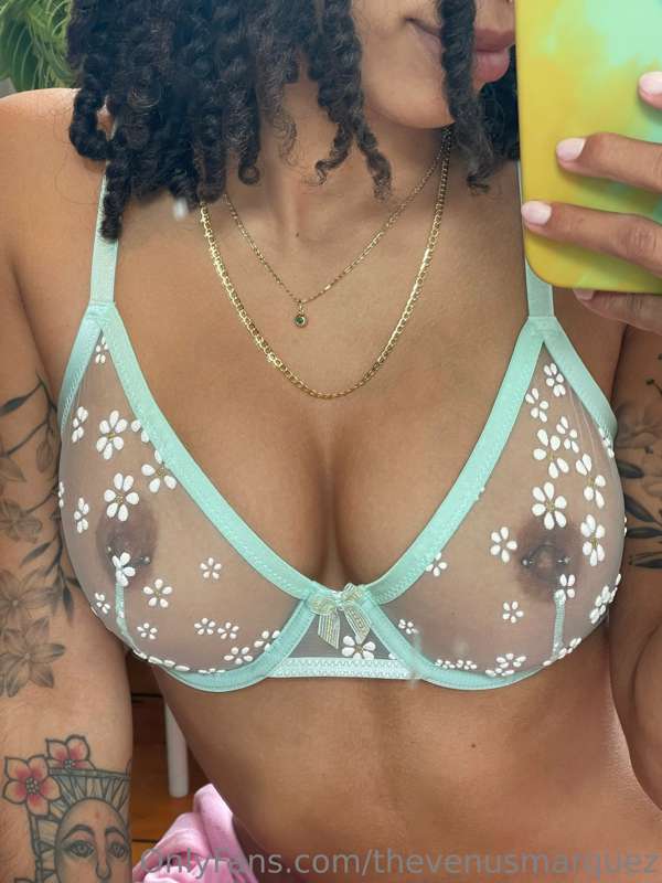 thevenusmarquez
