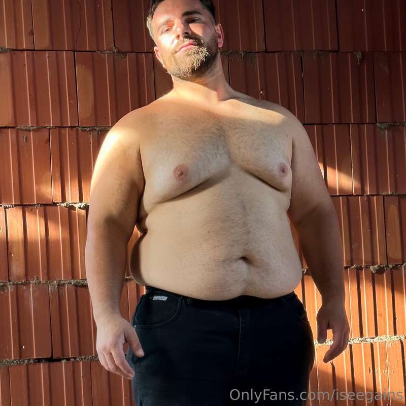 iseegains