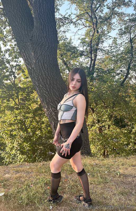 💚🌳🌿🌾