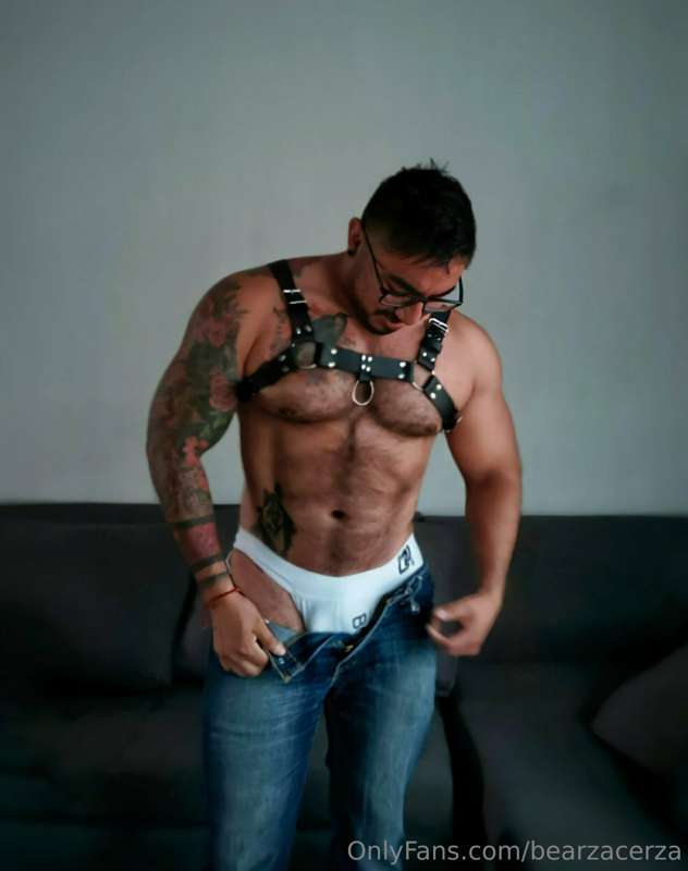 bearzacerza