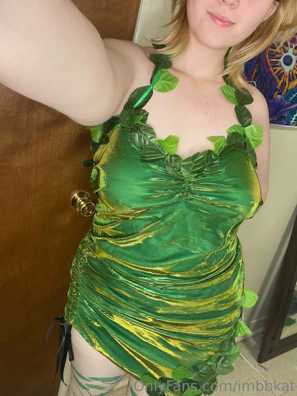 imbbkat image #0