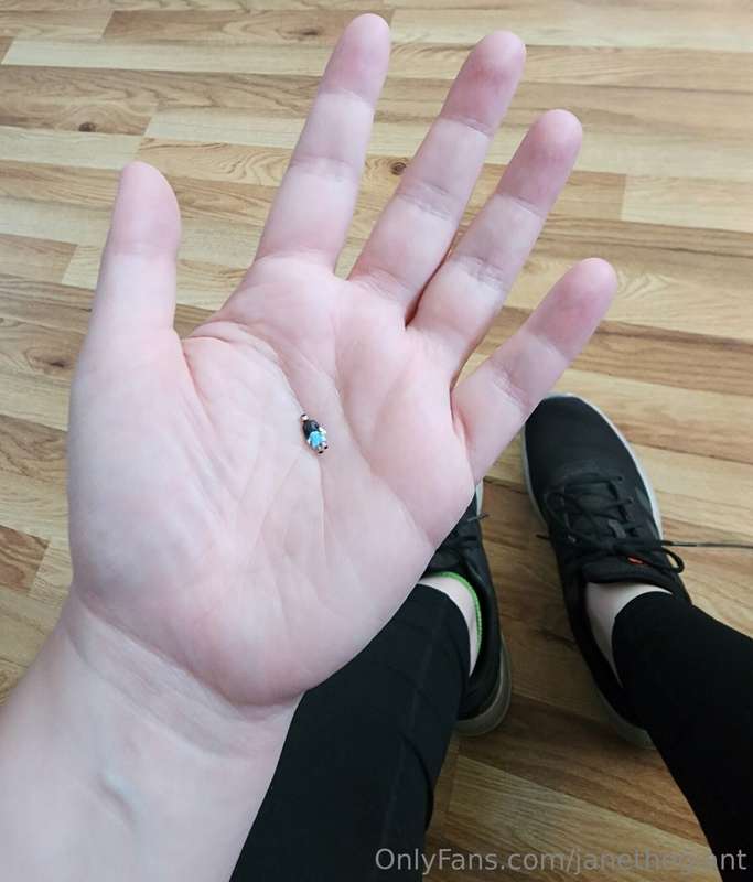 janethegiant
