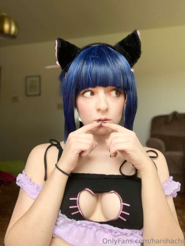 hanihachi