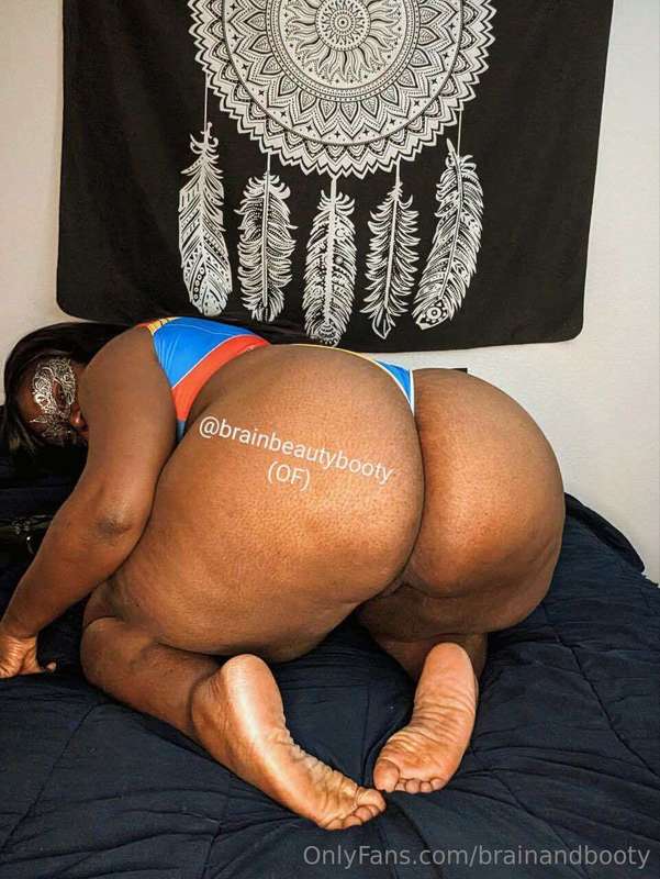 brainandbooty