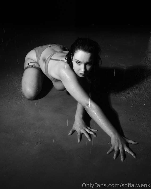 sofia.wenk