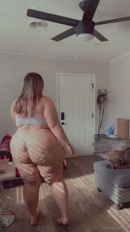 pawgwithablog97