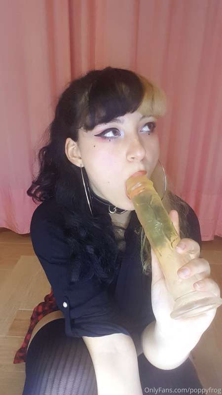 poppyfrog image #0