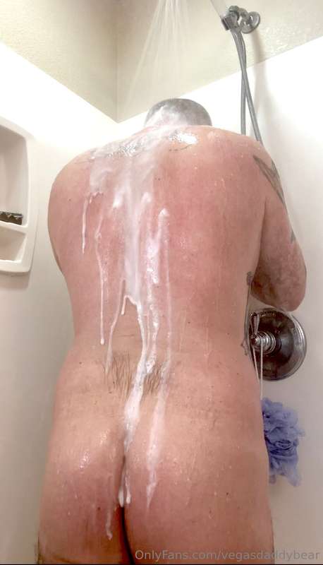 vegasdaddybear image #1