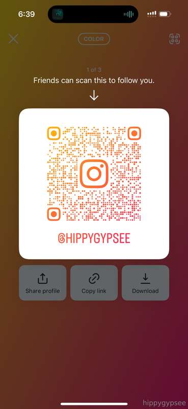 hippygypsee