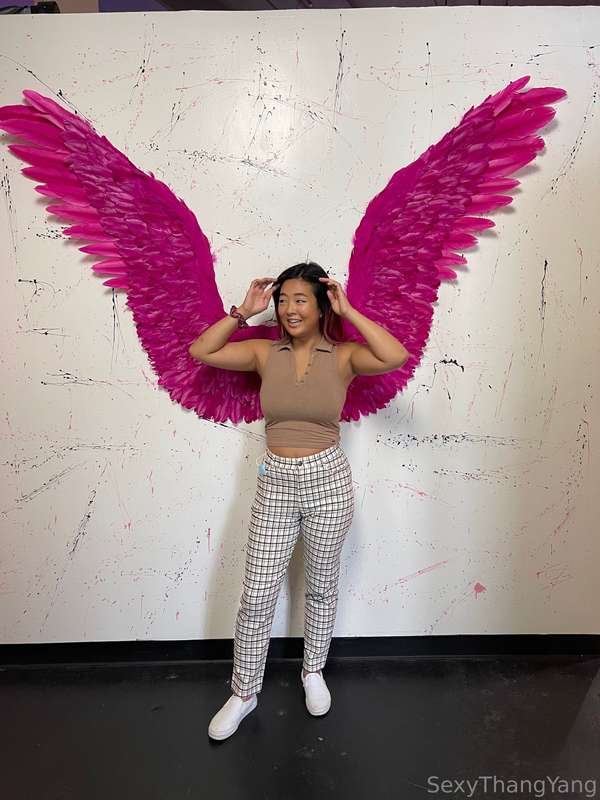 I'm a Peacock, you gotta let me fly 🦚 
