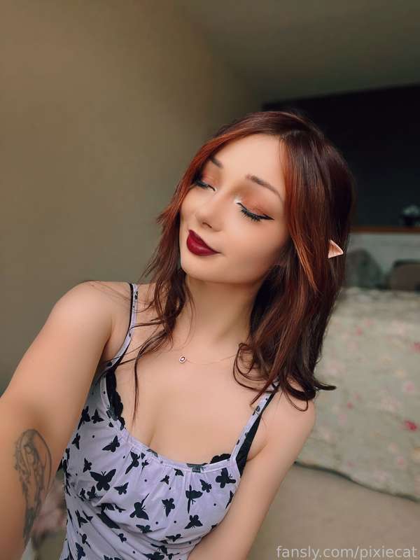 pixiecat image #31