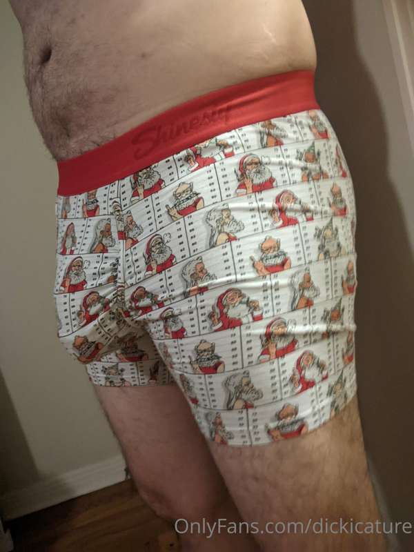 dickicature image #0