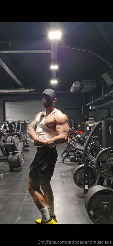 tattooedandmuscleds